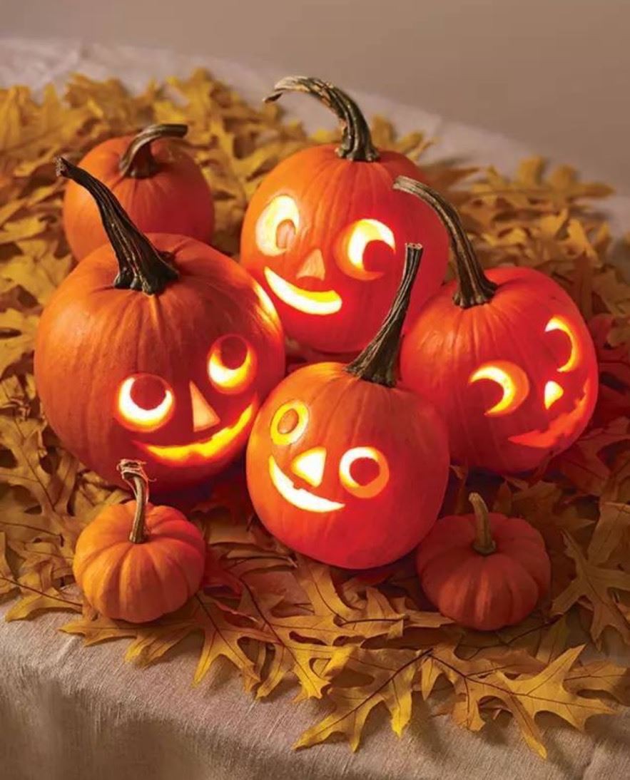 pumkin lantern pumkin lantern